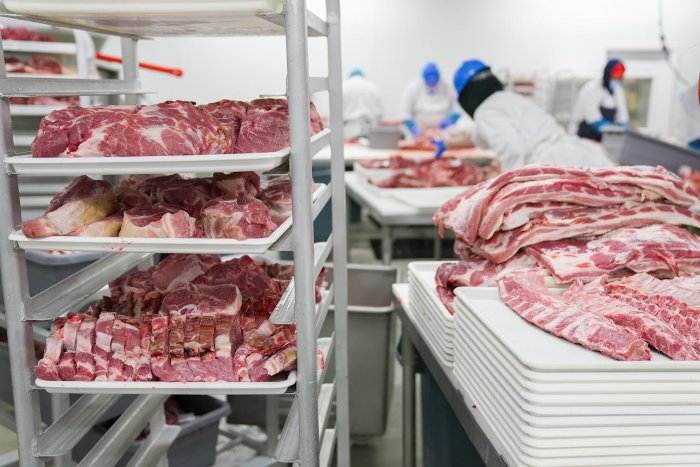 Meat on shelves in facility