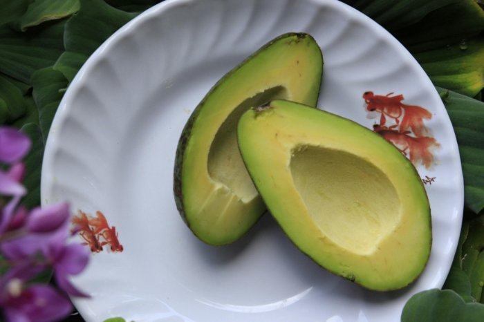 Avocado on plate