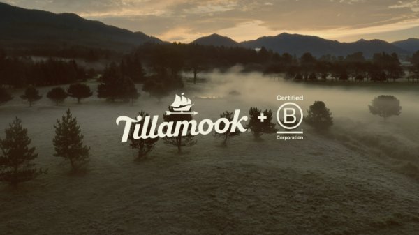 Tillamook logo on forest backdrop