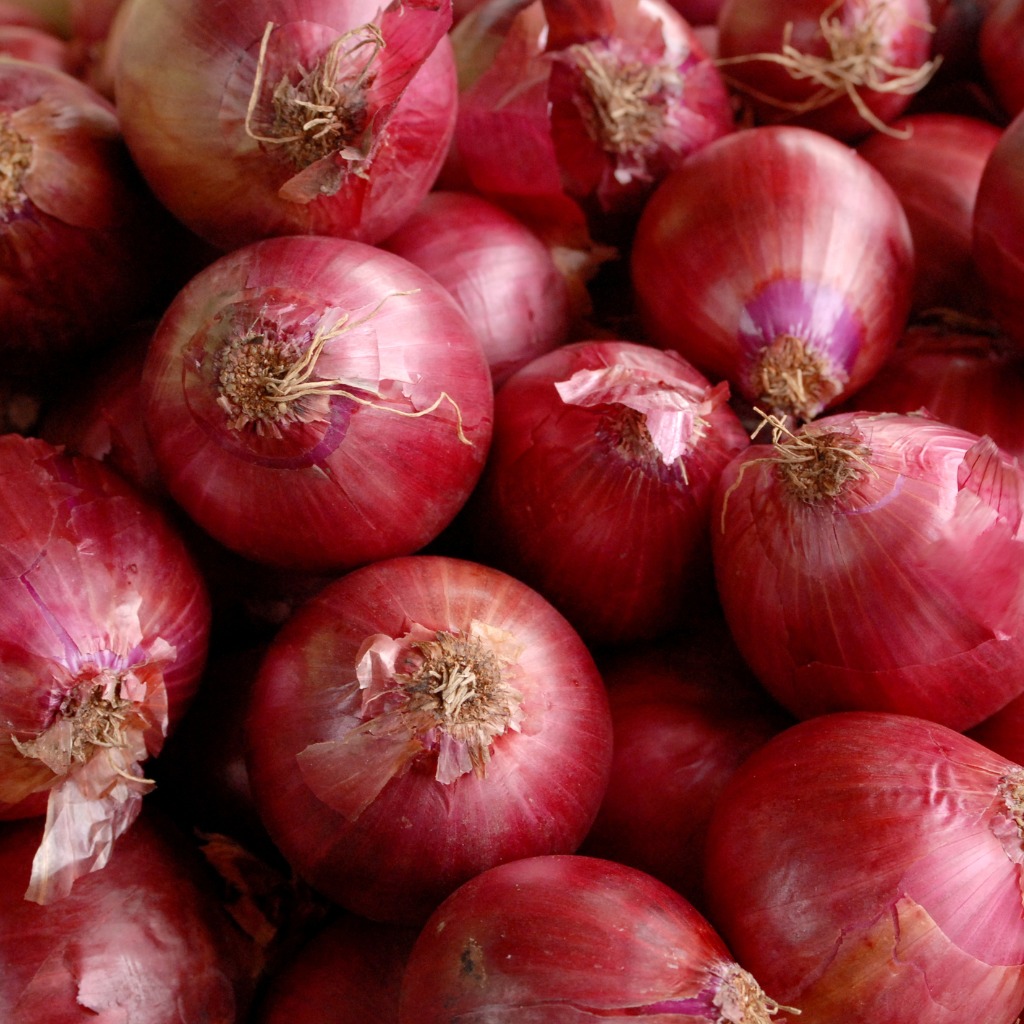 Specialty Food Association