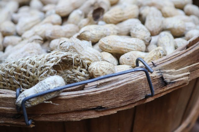 Peanuts in Barrel