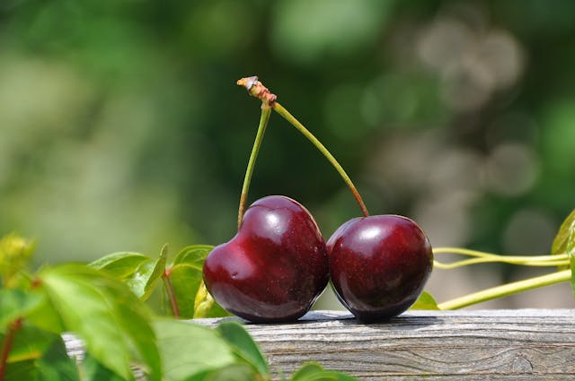 Two Cherries