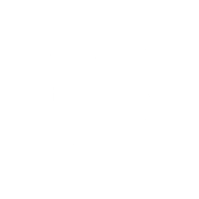 Winter FancyFaire* Logo