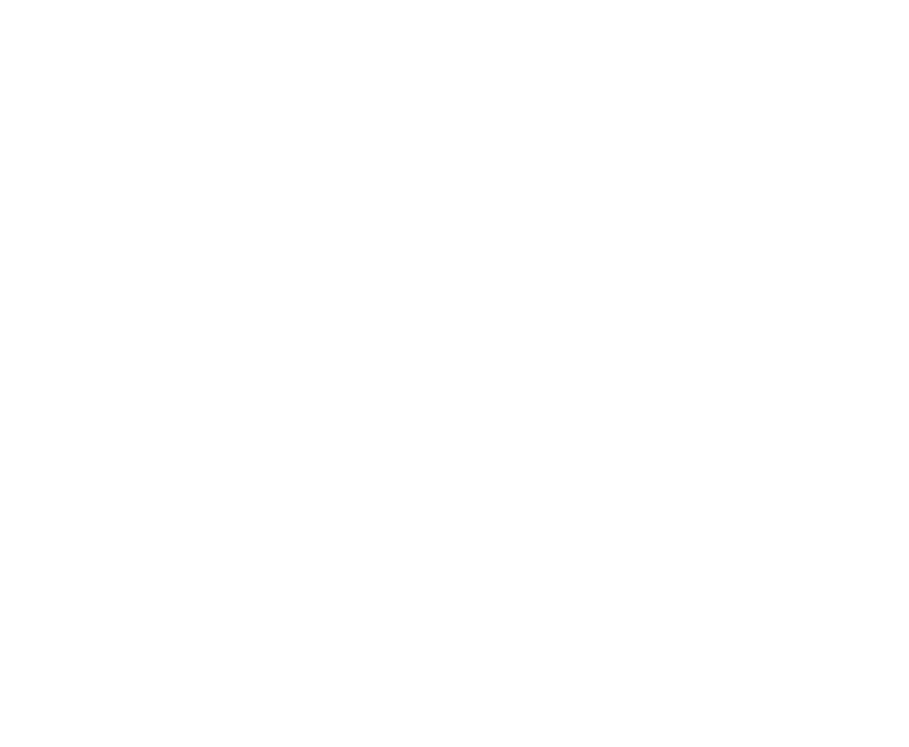 Winter FancyFaire* Logo