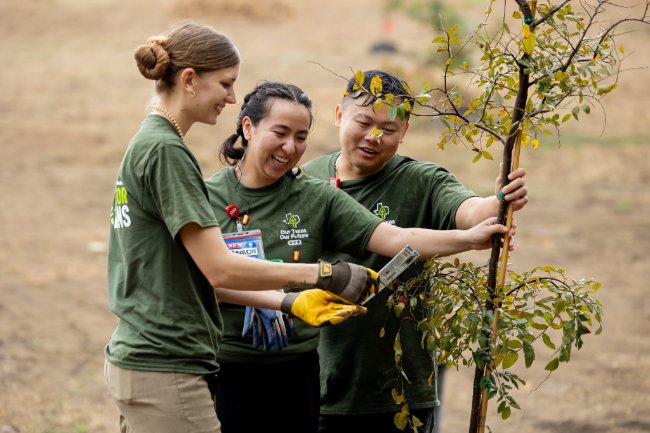 People planting tree